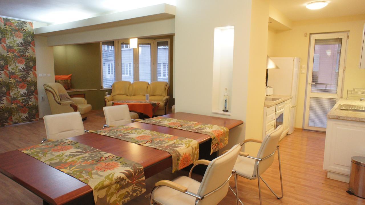 Vitosha Apartament *