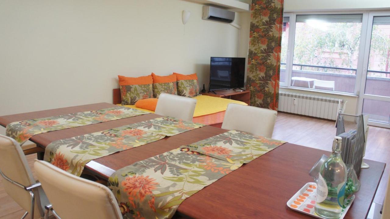 Vitosha Apartament